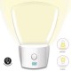 LUZ LED DE COMPAÑÍA Y ORIENTACIÓN SARO