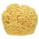ESPONJA NATURAL MARINA PREMIUM SARO