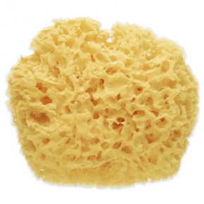 ESPONJA NATURAL MARINA PREMIUM SARO