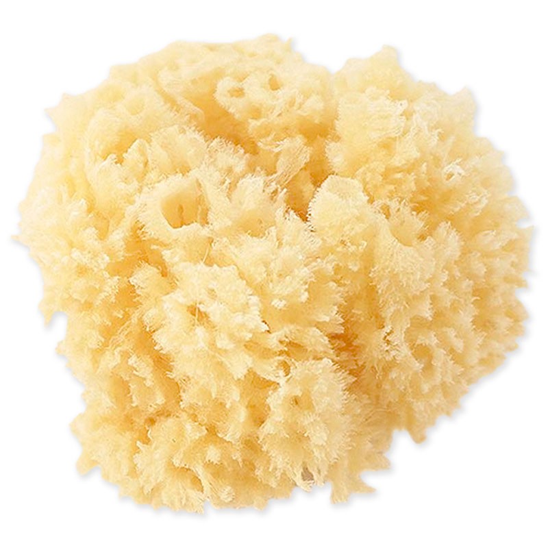 Chicco Natural Marina Schwamm - 100% Natürlicher Meeresschwamm Für Babys